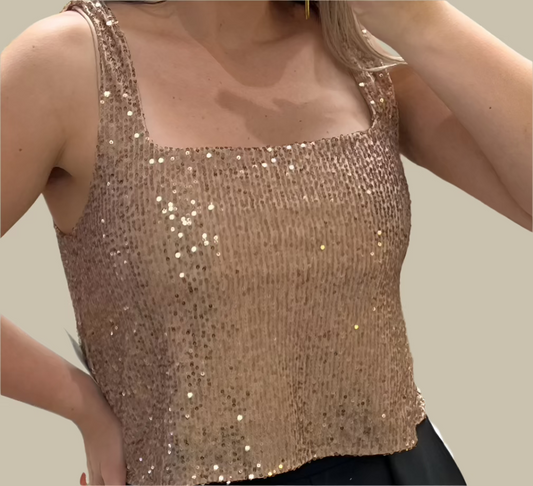 Sparkly Mocha Top